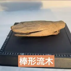 Item thumbnail for item 07064e72-83dc-4927-af47-78cf3e22df17