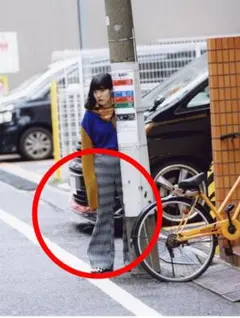 あいみょんさん着用衣装 Needles フレアパンツ 2021aw サイズ2