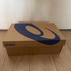 アンプレアルスロー