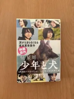 【匿名配送】美品　少年と犬