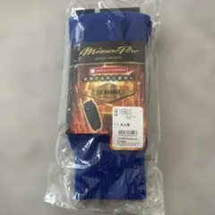 Mizuno Pro Leg Warmer 大人用 青
