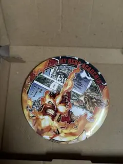 僕のヒーローアカデミア　缶バッジ　エンデヴァー　ホークス