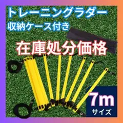 〇トレーニング ラダー 7m 13枚 サッカー 陸上 フィットネス 球技の練習