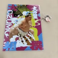 大の里クリアファイル　大栄翔髪留め