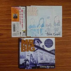 MR.BIG CDシングル 2枚セットです。