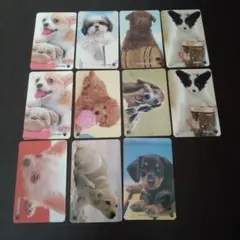 子犬物語 2,3 カード まとめ売り