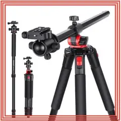 Item thumbnail for item 646176c2-65cc-47fb-80ac-c6a11a390492
