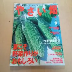 やさい畑　夏2004年