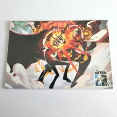 ワンピース　アニバーサリー　ポストカード　1枚