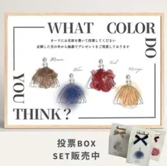 ドレス色当てクイズ 案内用紙