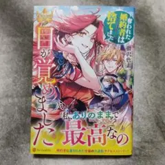 目が覚めました~奪われた婚約者はきっぱりと捨てました