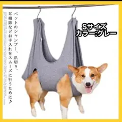 Item thumbnail for item 576fb151-e708-477e-885c-1cc7d06f4b2c