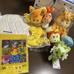 ピカピカボックス2025