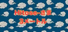 Hitose-さま専用ページ