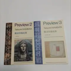 Preview 2 & 3 難波田龍起展