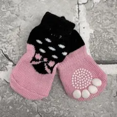Item thumbnail for item d9855069-2fb6-447d-981e-d073cb96ae06