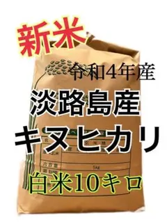 令和4年産 キヌヒカリ 新米 白米 10 キロ 淡路島産 10kg