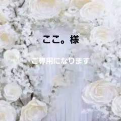 ここ。様ご専用になります