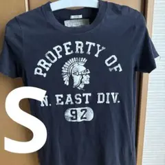 処分価格Abercrombie&Fitch Tシャツ Sヴィンテージダメージ加工