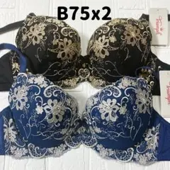 サイズB75 トリンプ AC004 ブラジャー 2点