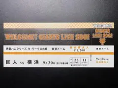 東京ドーム観戦チケット9月18日　DeNA戦　ペアチケット 7月13日 (土) 東京ドーム 巨人VS 横浜DeNA オーロラシートA