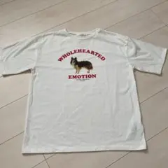 Tシャツ Fサイズ