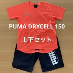 プーマ 上下セット DRYCELL 150