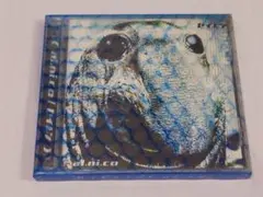 a.l.m.i.c.o. セイレン CD