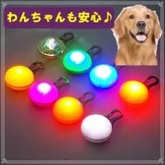 犬 散歩 セーフティーライト 安全 ライト LED 黄色