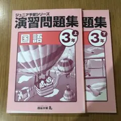 ジュニア予習シリーズ 国語 3年 上・下巻