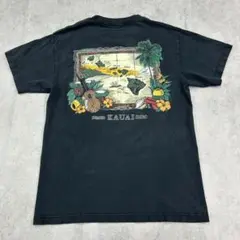 ハワイ　カウアイ島　スーベニア　トップス　半袖　Tシャツ　古着　ブラック　黒　M