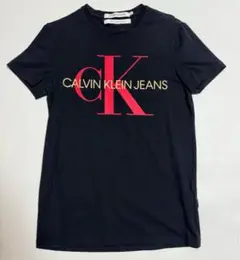『希少』　Calvin Klein カルバンクライン　Tシャツ 半袖　メンズ　金