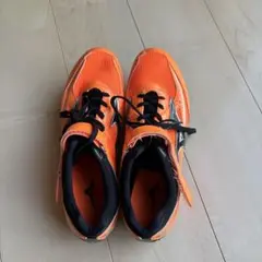 Item thumbnail for item 8646ce0b-706a-4947-9422-db2bf7f3b43d