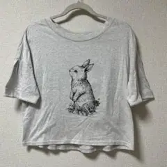 フランシュリッペ うさぎ Tシャツ カットソー Mサイズ