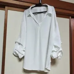 Item thumbnail for item 28314504-2a7e-47ea-a0c5-c5328169a2ef