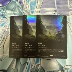 mtg 繁殖池/Breeding Pool MTG 拡張foil 3枚セット
