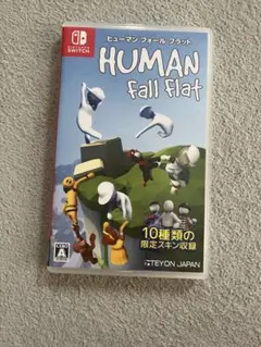 Nintendo Switch HUMAN fall flat