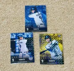 Item thumbnail for item 49fe926a-1abd-4b8d-8565-8b03cba4e149