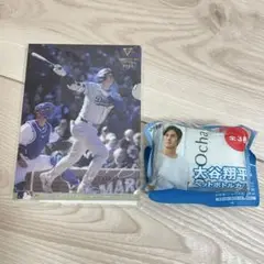 大谷翔平 2024年 バンテリン ミニ クリアファイル ペットボトルカバー