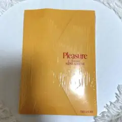 TREASURE Pleasure Special MINI ALBUM 未開封