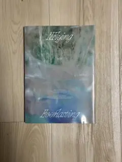 N.Flying 2nd Album Everlasting Ever ver.
