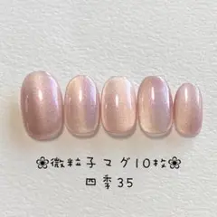 【即購入ok・チップ変更可能】マグネットネイルチップ　ニュアンス　四季35