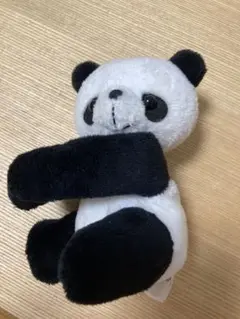 ADVENTURE WORLD パンダ ぬいぐるみ