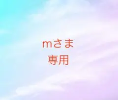 mさま専用⭐︎