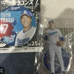 中日ドラゴンズ 柳裕也セット