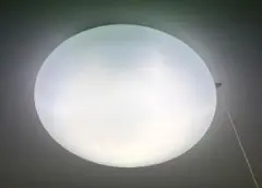 Item thumbnail for item af03d50e-467e-41c7-81f5-e2718514dbe1