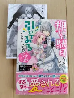 押して駄目だったので、引いてみることにしたのですが