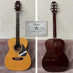 タカミネ TAKAMINE T-F1/N アコースティックギター♪ Takamine T-F1/N Acoustic Guitar アコースティックギター