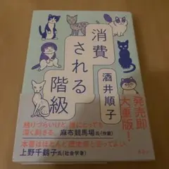 酒井順子 消費される階級 集英社
