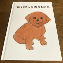 ぼくときみの10のお約束